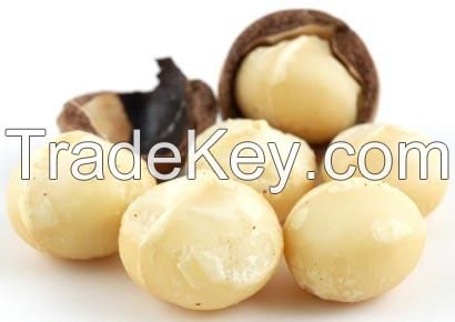 Macadamia nuts