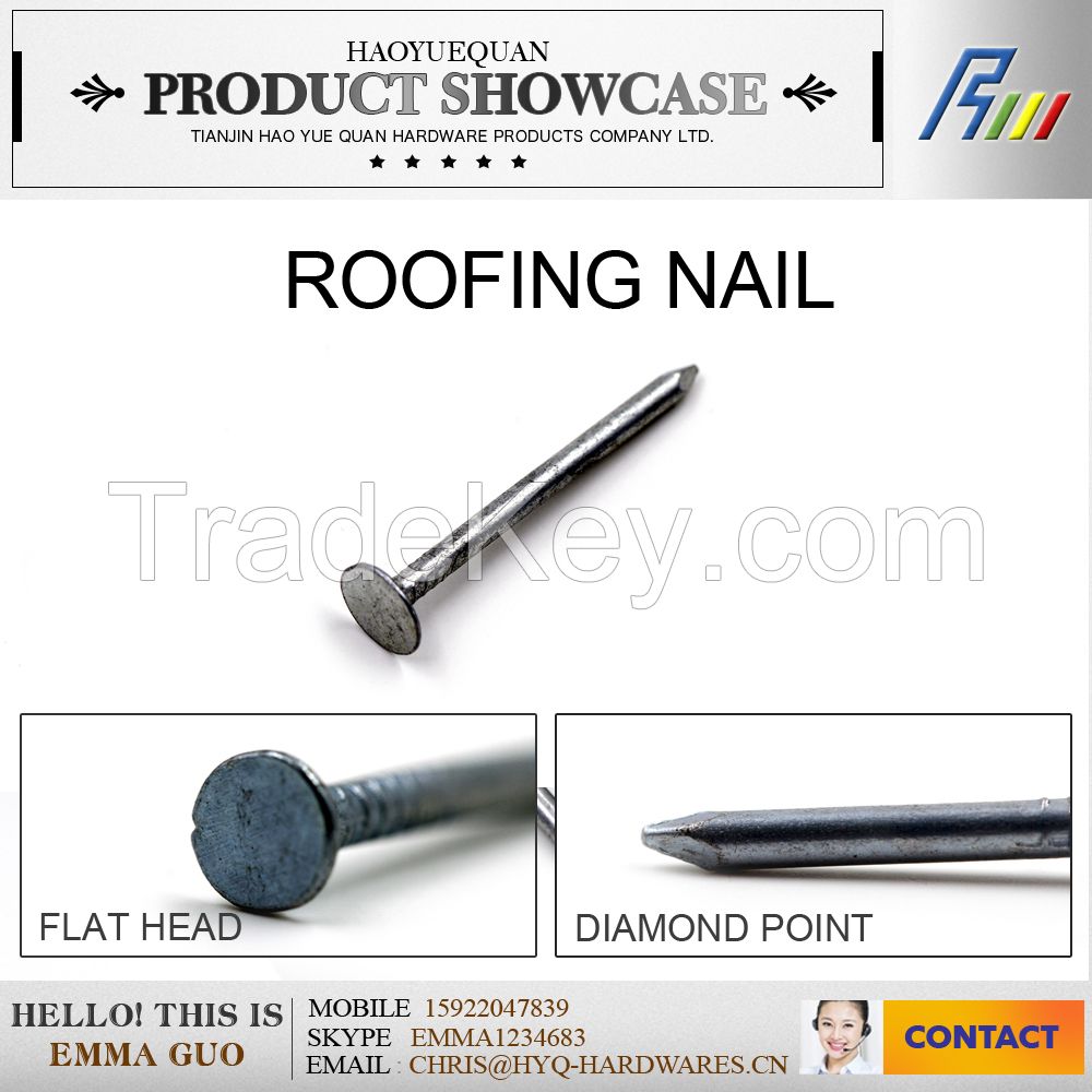 big flat head bright roofing nail/polish clout nail from china factory