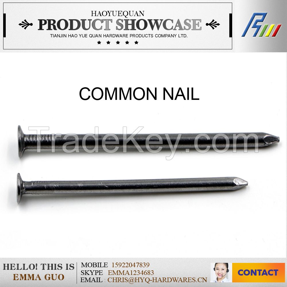 6cm/10cm length galvanized common nail, wire nail