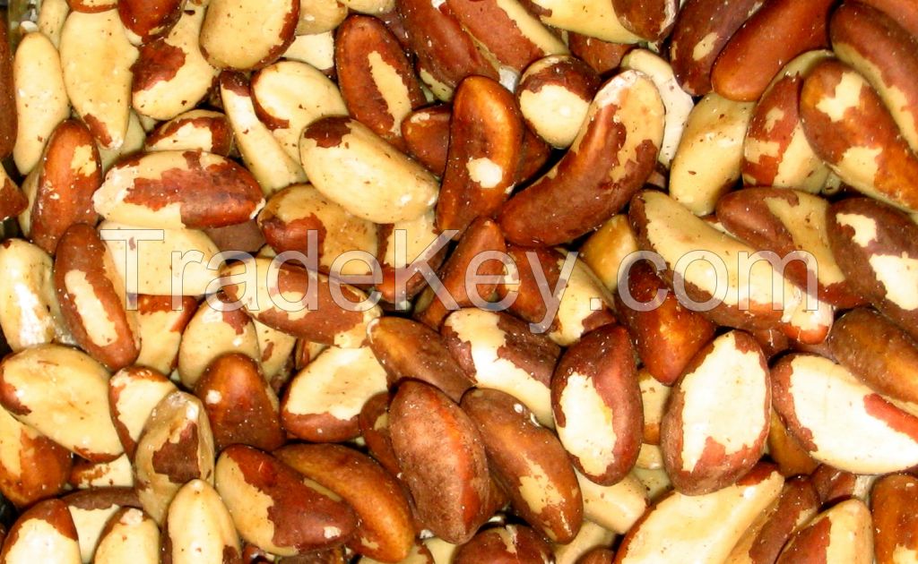 Brazil Nuts