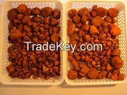 Ox/Cow/Cattle Gall Bladder Stones