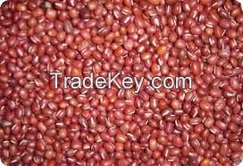HPS Adzuki Bean 2013 Crop Small Red Beans.