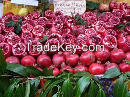 Fresh Pomegranate Fruit