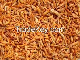 dried crayfish best price and competitive price for sale