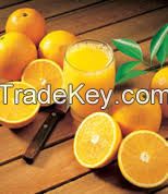 Fresh Citrus Fruits, Valencia and Navel Orange Wholesale Prices