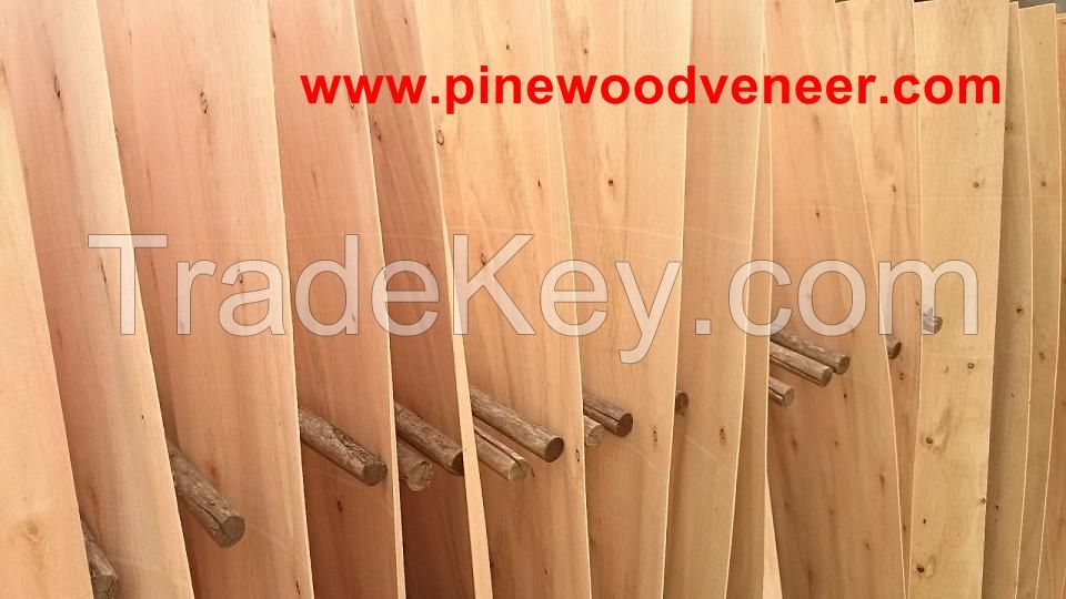 Eucalyptus core veneer -pinewoodveneer dot com