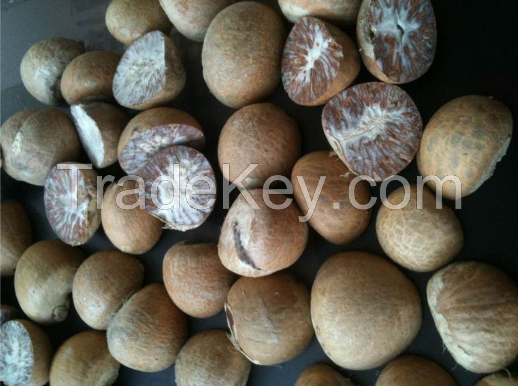sell dried betel nut