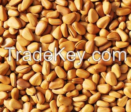 Sell pine nuts