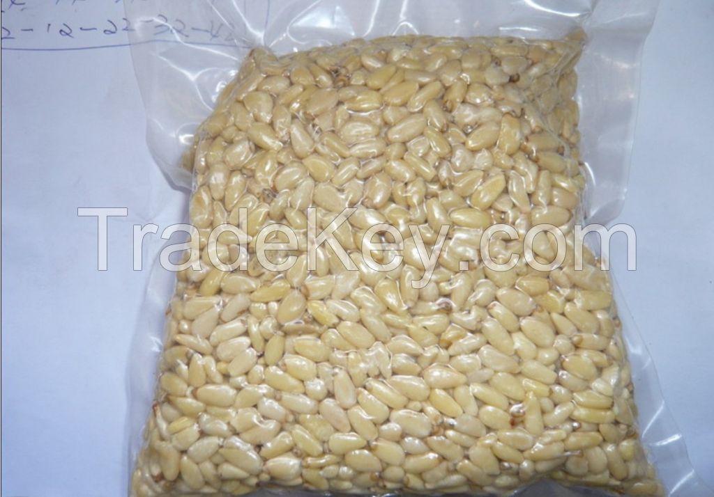 sell pine nut