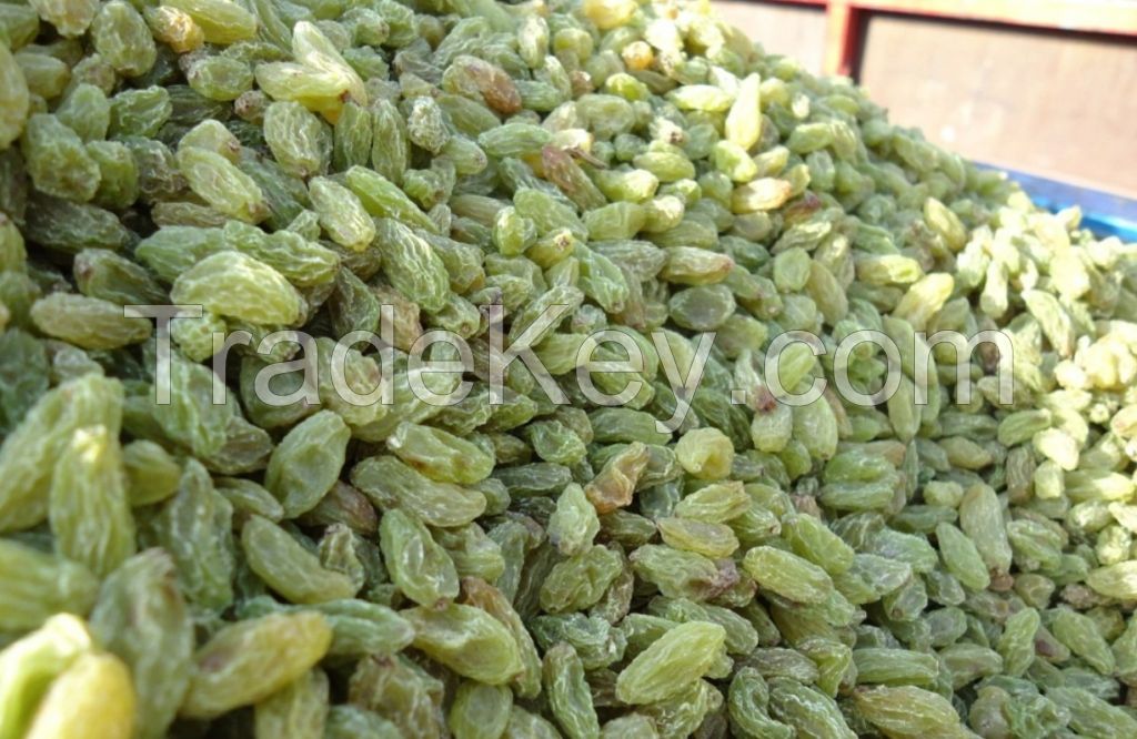 sell sweet Xinjiang sun dried raisins