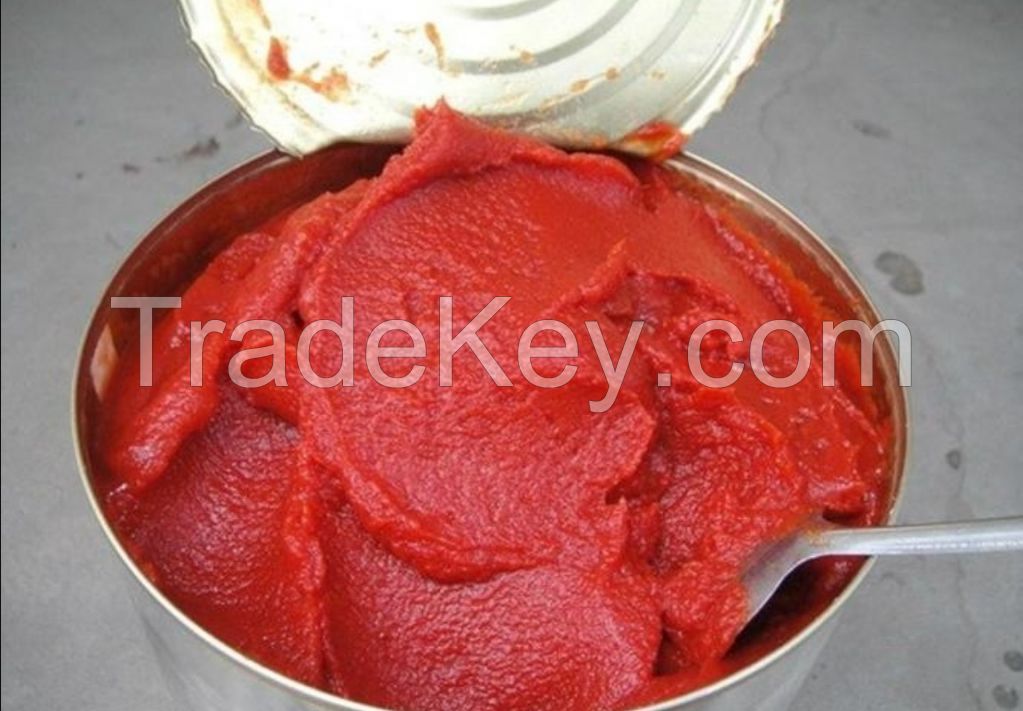 sell tomato paste