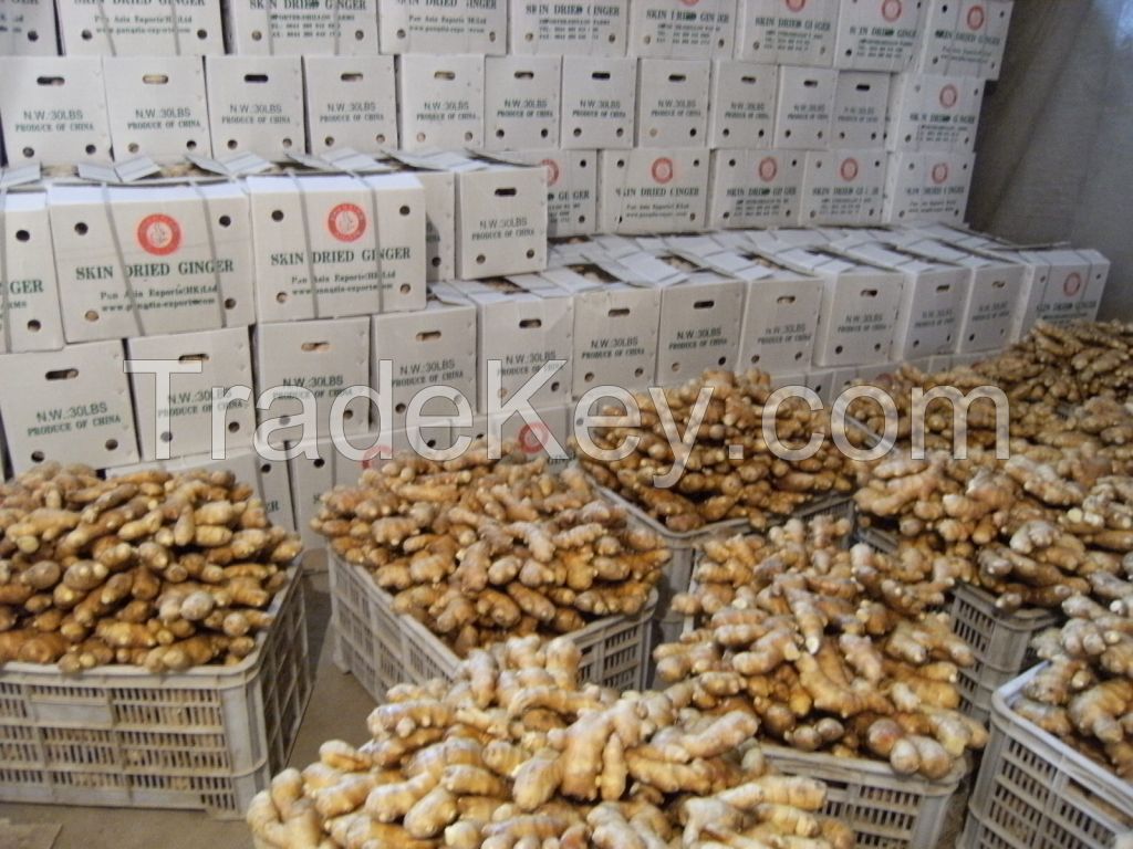 sell China fresh ginger