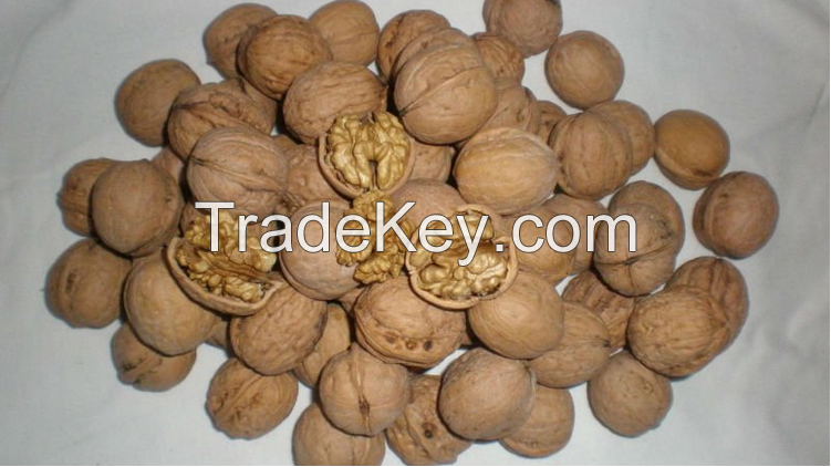 Sell Walnut In Shell/Walnut Kernels