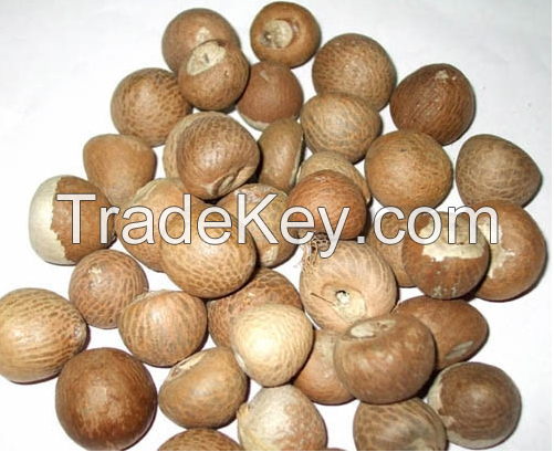 Sell Whole Dried Betel Nuts