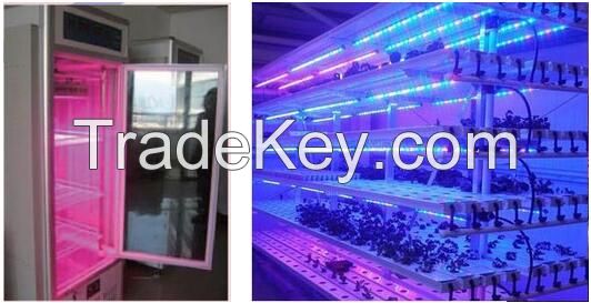 QT-LED1218 Plant Fill Light Lamp