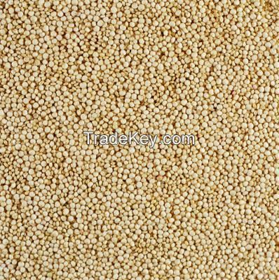 Suppliers QUINOA SEED Top quality-Red and White Quinoa Seed