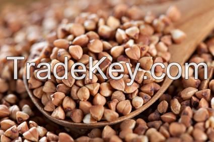 We Supply Brown Buckwheat/Green Buckwheat