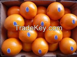 Naval Fresh Oranges