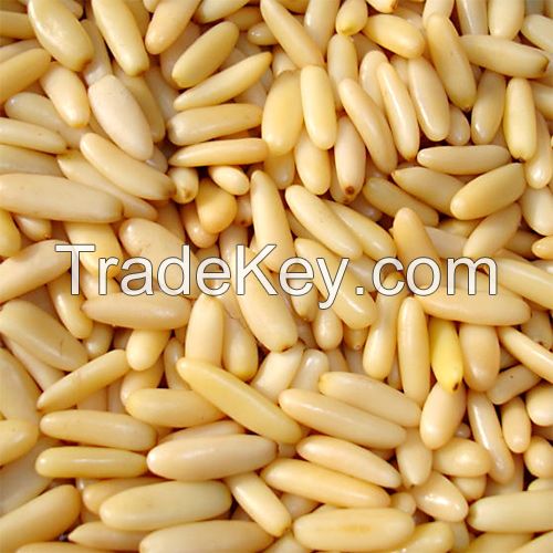 Pine Nuts Kernels