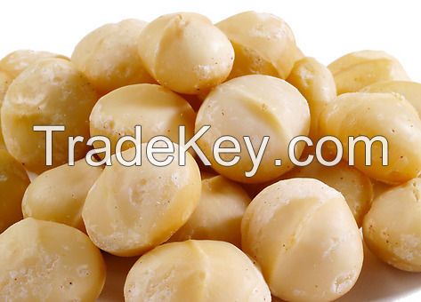 Plain Macadamia Nut