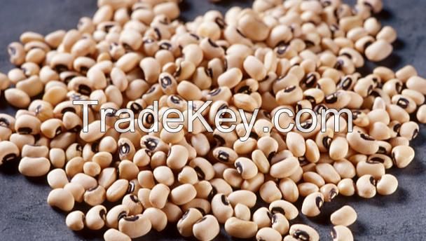 Black-eyed Beans (Black-eyed Peas / Black Eye Beans)