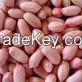 Almond, Peanut Hull, Apricot Kernels, Betel Nuts, For Sale with Low Price