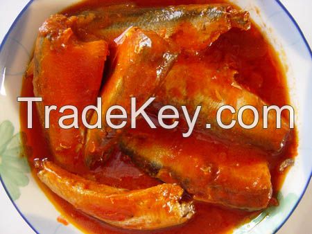 canned sardine in tomato sauce / oil / brine