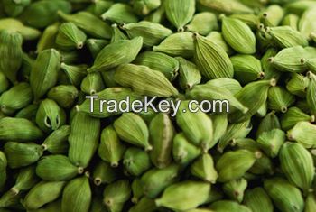 High quality green Cardamom