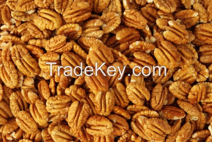 Pecan nuts for sale