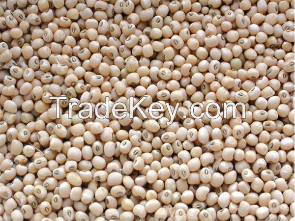 CowPeas