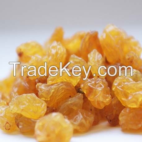 Golden Sultanas