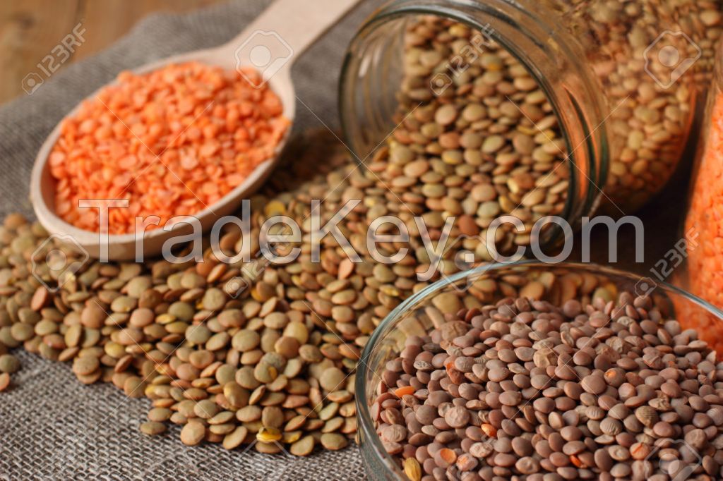 whole red/ brown lentils for sale