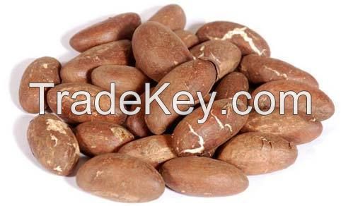 Best Quality  BITTER KOLA NUTS- Garcinia Kola - whats app:  +27 73 493 0025