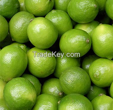 Fresh Lemon and Limes