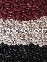 Kidney Beans