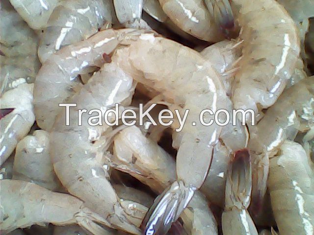 Frozen Vannamei shrimps