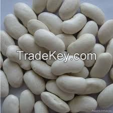 White Kidney Beans Grade A (Long Shape& Round)