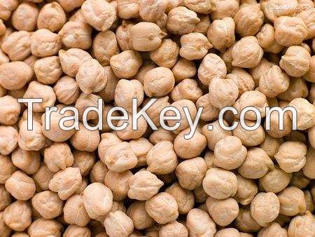 Factory direct wholesale cheap white chickpeas