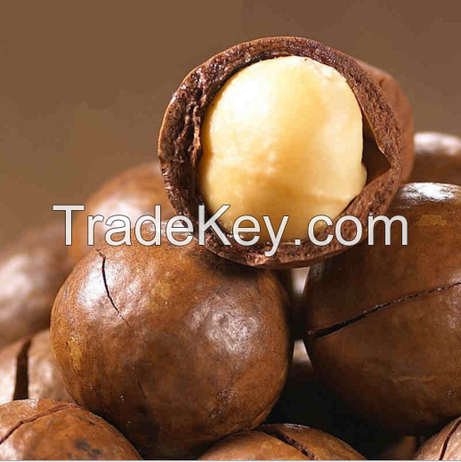 Sell Macadamia Nuts