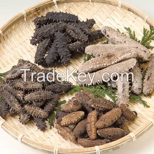 Fresh/Dried Sea Cucumber, White Teat Fish, Black Prickly Fish, Fresh /Frozen Available