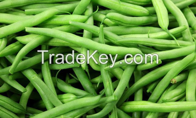 High Quality Green beans, Green peas, Green & Red Chilli