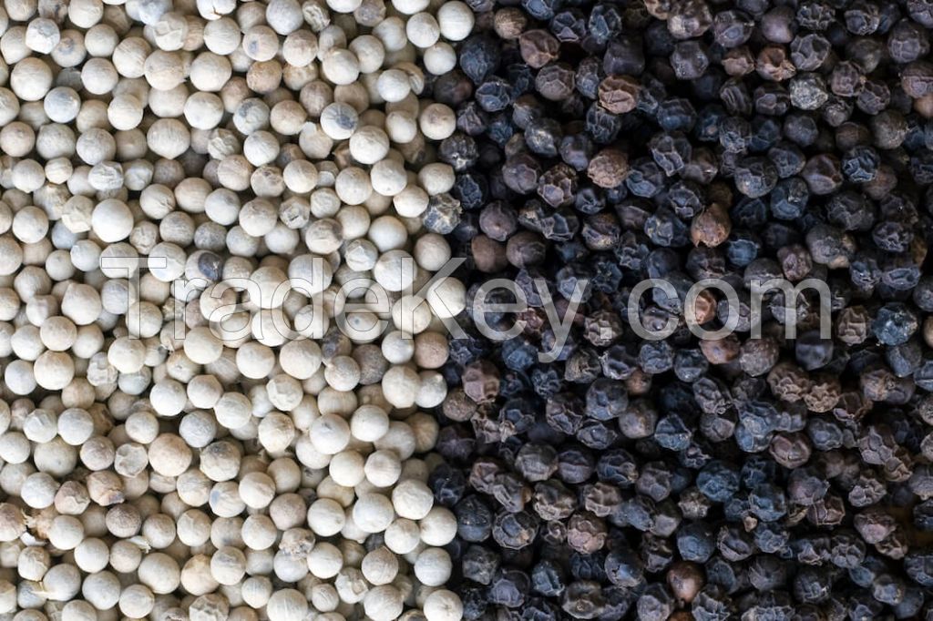 Good Quality Black Pepper and White pepper