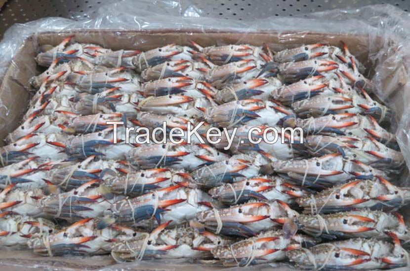 Best quality seafood and fresh frozen Crabs, Shrimps Fishes