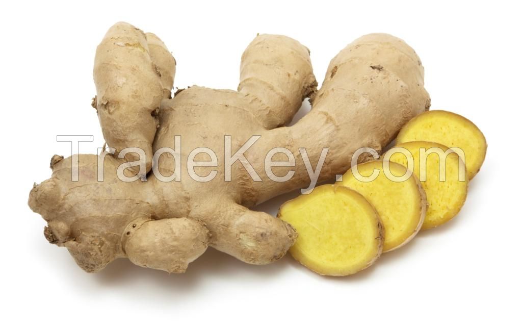 Fresh Good looking GINGER, Gallic, PEPPER, ONIONS