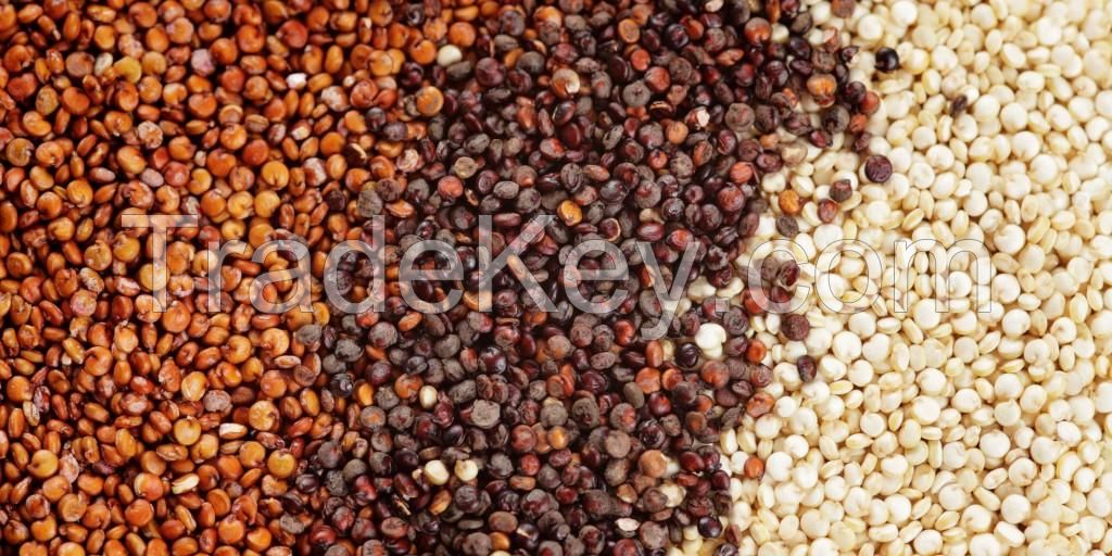 Premium Grade Certified Organic Quinoa Available at Market Rate