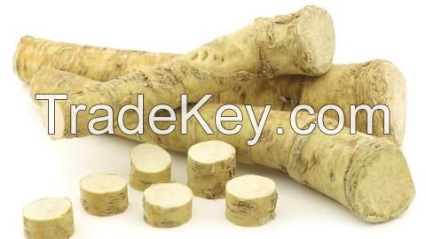 High Quality Natural Organic Fresh and dehydrated Horseradish