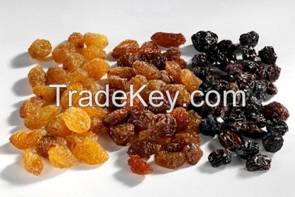 Quality Dried Fruits Raisins, Fresh and Dried Apricot at moderate prices