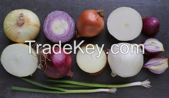 Fresh quality ONIONS, PEPPER, GINGER, Gallic