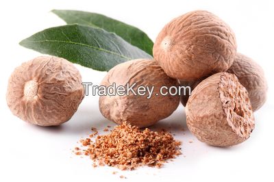 Best Quality Dried Whole Nutmegs and Nutmeg powder available now.