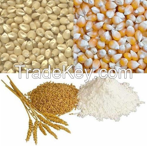 Fine Grains White and Yellow Corn, Barley, Buckwheat, Wheat, Rice for Sale at good prices